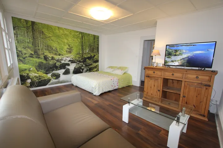 Pièce de vie avec fresque de forêt, lit double et téléviseur