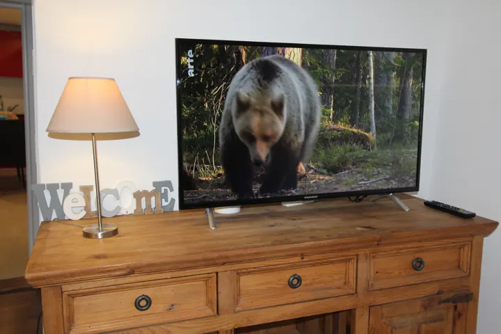 Meuble télévision en bois